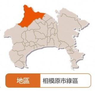 綠之度假村中心（住宿）