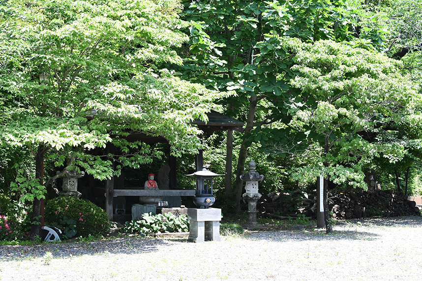 国分寺境内の様子