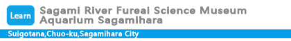 Sagami River Fureai Science Museum Aquarium Sagamihara