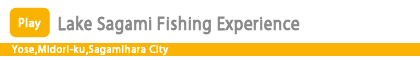 Lake Sagami Fishing Experience
