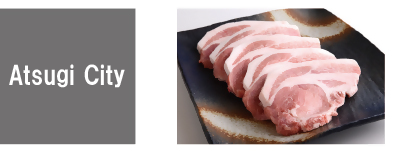 Atsugi City