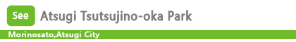 Atsugi Tsutsujino-oka Park