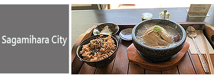 d-03-sagamihara_eng