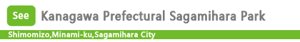 Kanagawa Prefectural Sagamihara Park