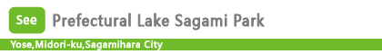 Prefectural Lake Sagami Park