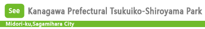 Kanagawa Prefectural Tsukuiko-Shiroyama Park