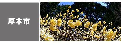 厚木市