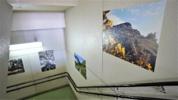 あじさい会館(相模原市)の写真