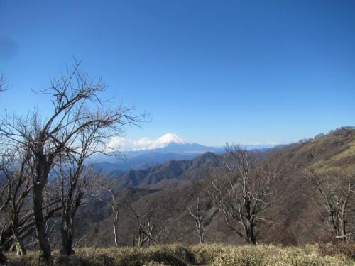 山頂からの景色1