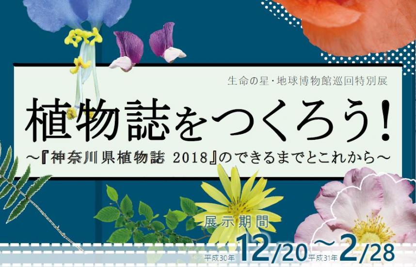 企画展植物誌画像