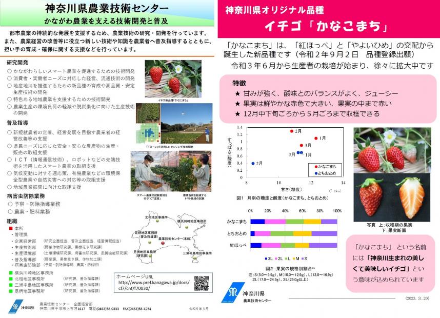 農業技術センターの紹介とイチゴかなこまちのポスター