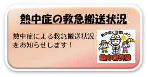 熱中症の救急搬送状況