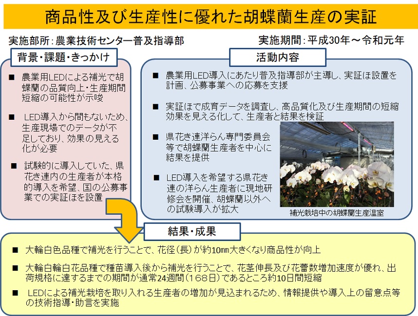 商品性及び生産性に優れた胡蝶蘭生産の実証