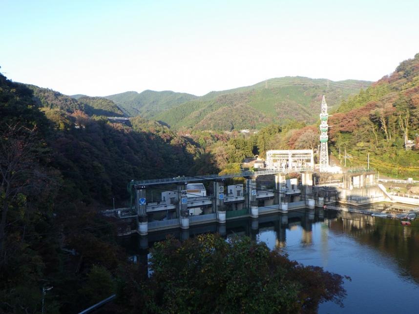 11月9日紅葉情報相模ダム側