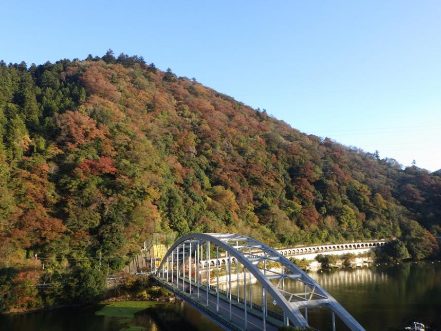 11月9日紅葉情報嵐山洞門側