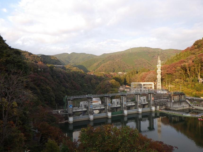 11月17日紅葉情報（相模ダム）