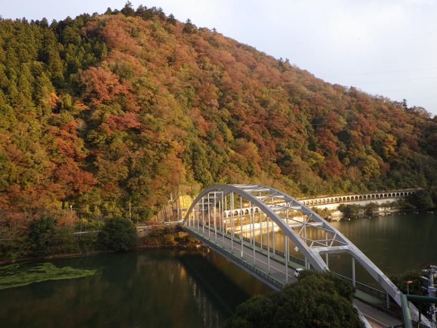 11月17日紅葉情報（洞門）