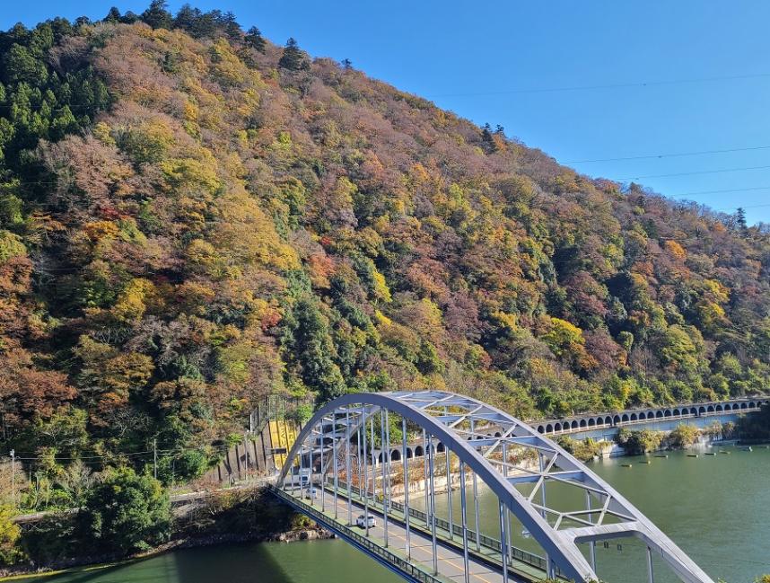 11月24日紅葉情報洞門側