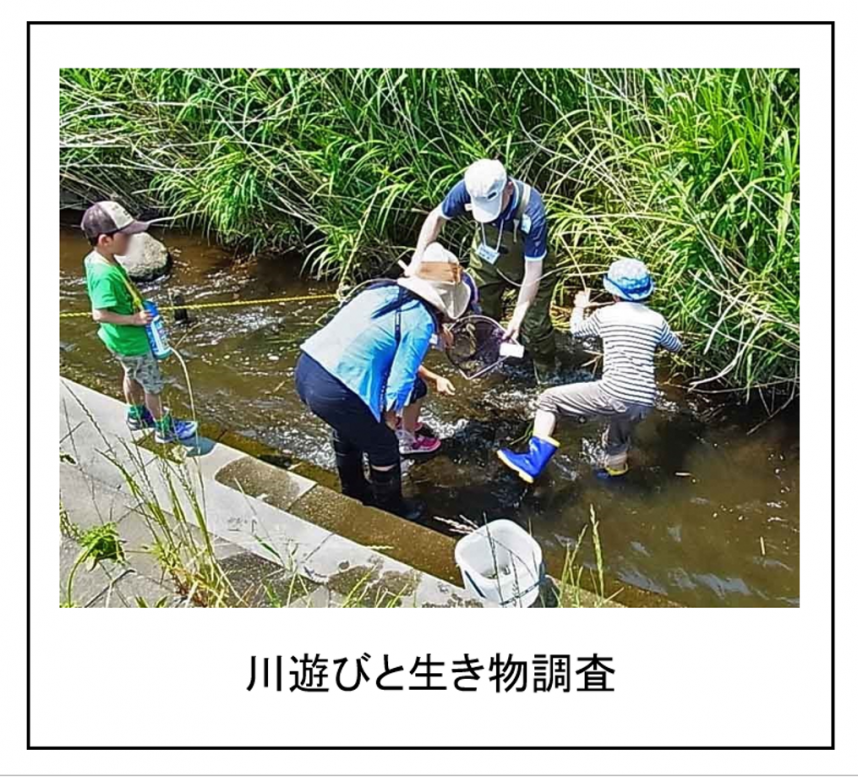 川遊びと生き物調査写真