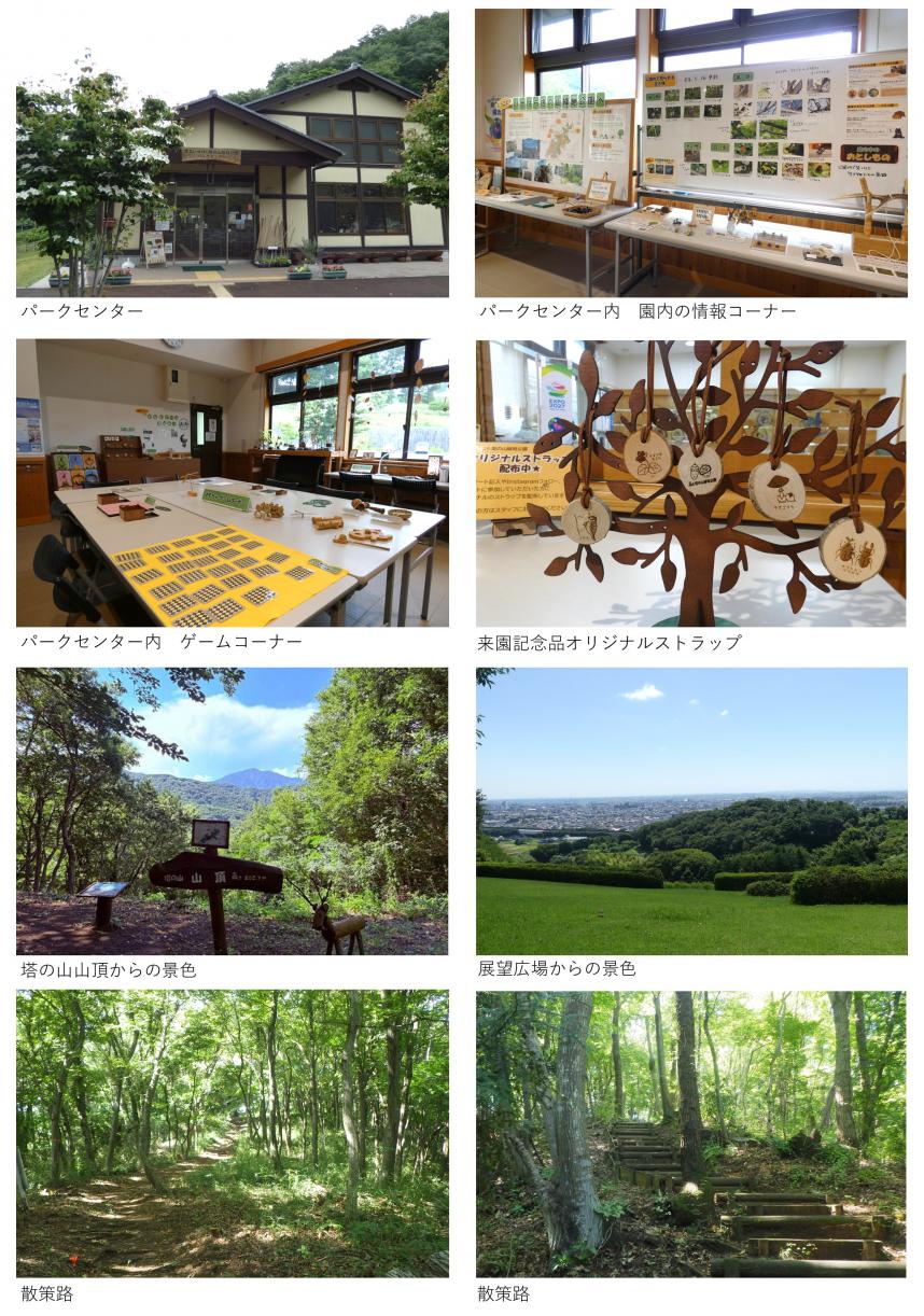 県立いせはら塔の山緑地公園の現況