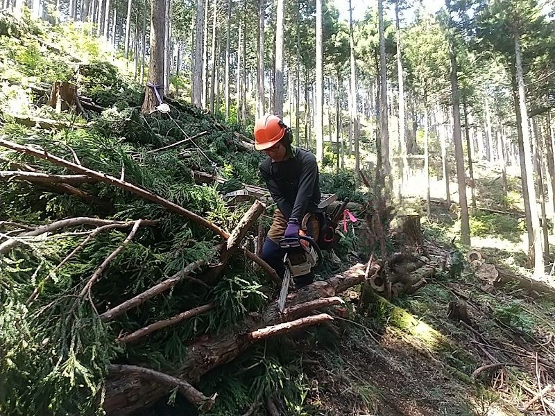 岡部さん