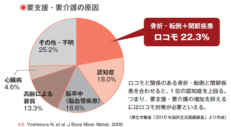 要介護になりたくなければ、ロコモの予防を！