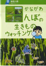 かながわ田んぼの生きものウォチング