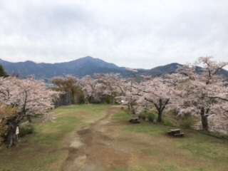 210325権現山山頂