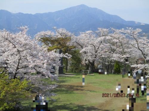 210327権現山山頂付近