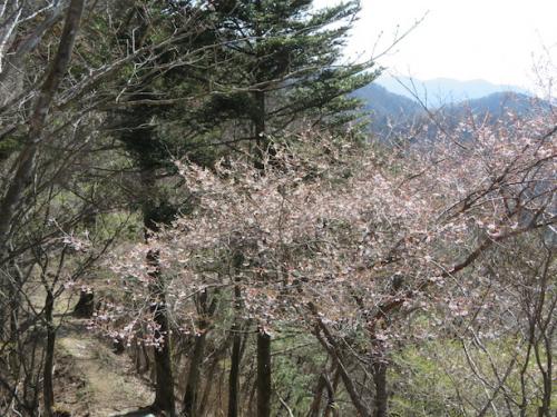 210420菰釣山