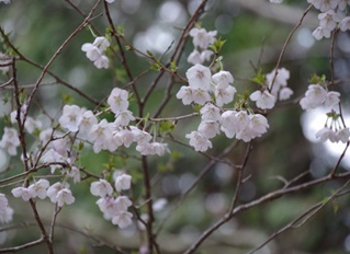 0323ヤビツ峠