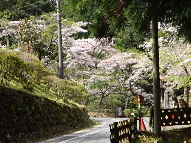 210331日向側登山口