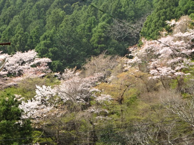 210331大山追分付近