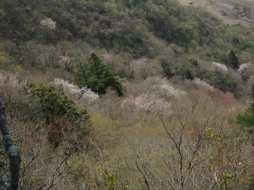 210331仏果山山頂付近