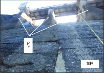 堤体下流面（背面）の状況の画像