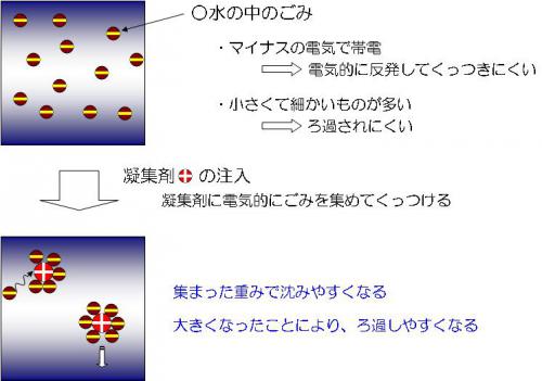 凝集沈殿とは