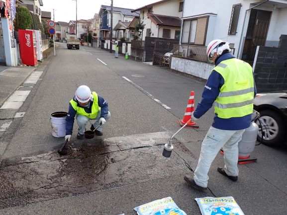 nyuzai