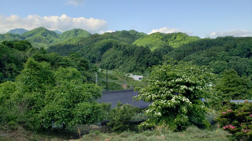 山に囲まれた自然豊かな風景