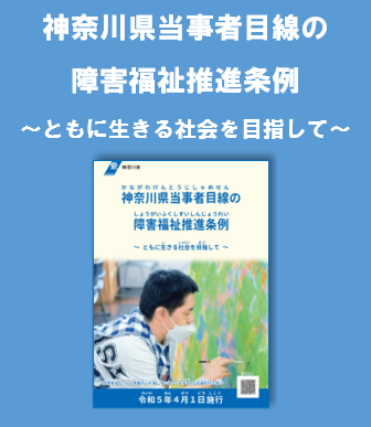 当事者目線条例