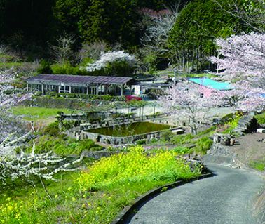 金太郎自然園