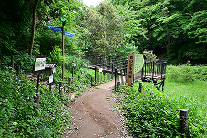 あつぎこどもの森公園の「森の空中回廊」入口付近
