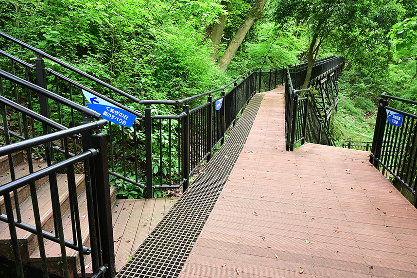 あつぎこどもの森公園の「森の空中回廊」4