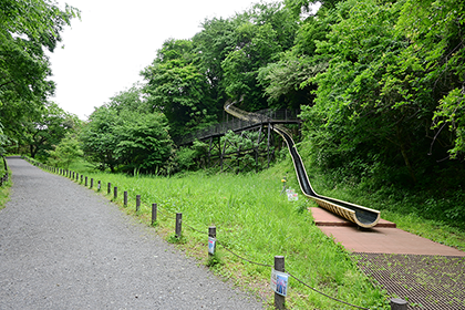 森のすべり台ゴール付近
