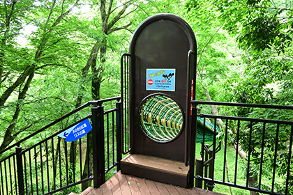 リスの道の出口