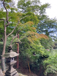 211004大山寺