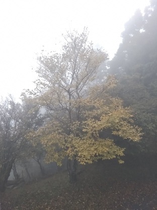 211016大山山頂