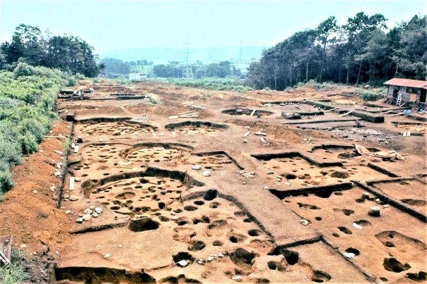 当麻遺跡全景