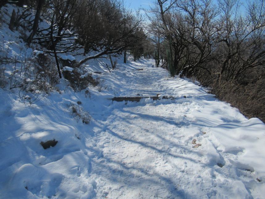 1月9日大山北斜面