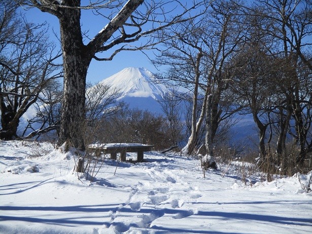 220107檜洞丸山頂