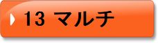 13　マルチ